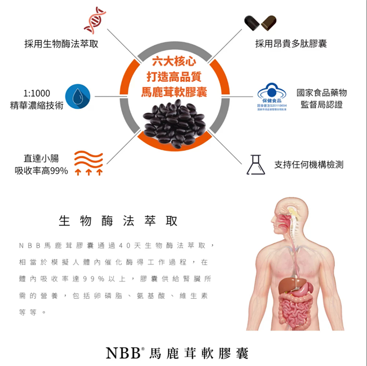 NBB馬鹿茸軟膠囊 nbb淫羊藿膠囊 NBB馬鹿茸 保健品02.png