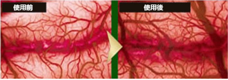 黃精鹿鞭片 堅挺不疲軟，安全不傷身02.jpg