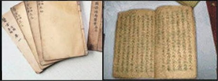 鹿鞭大根片 增大增粗 補腎良品！16.jpg