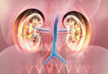 95FF50BA14A444C4C2CF93A3A8B161F5.png